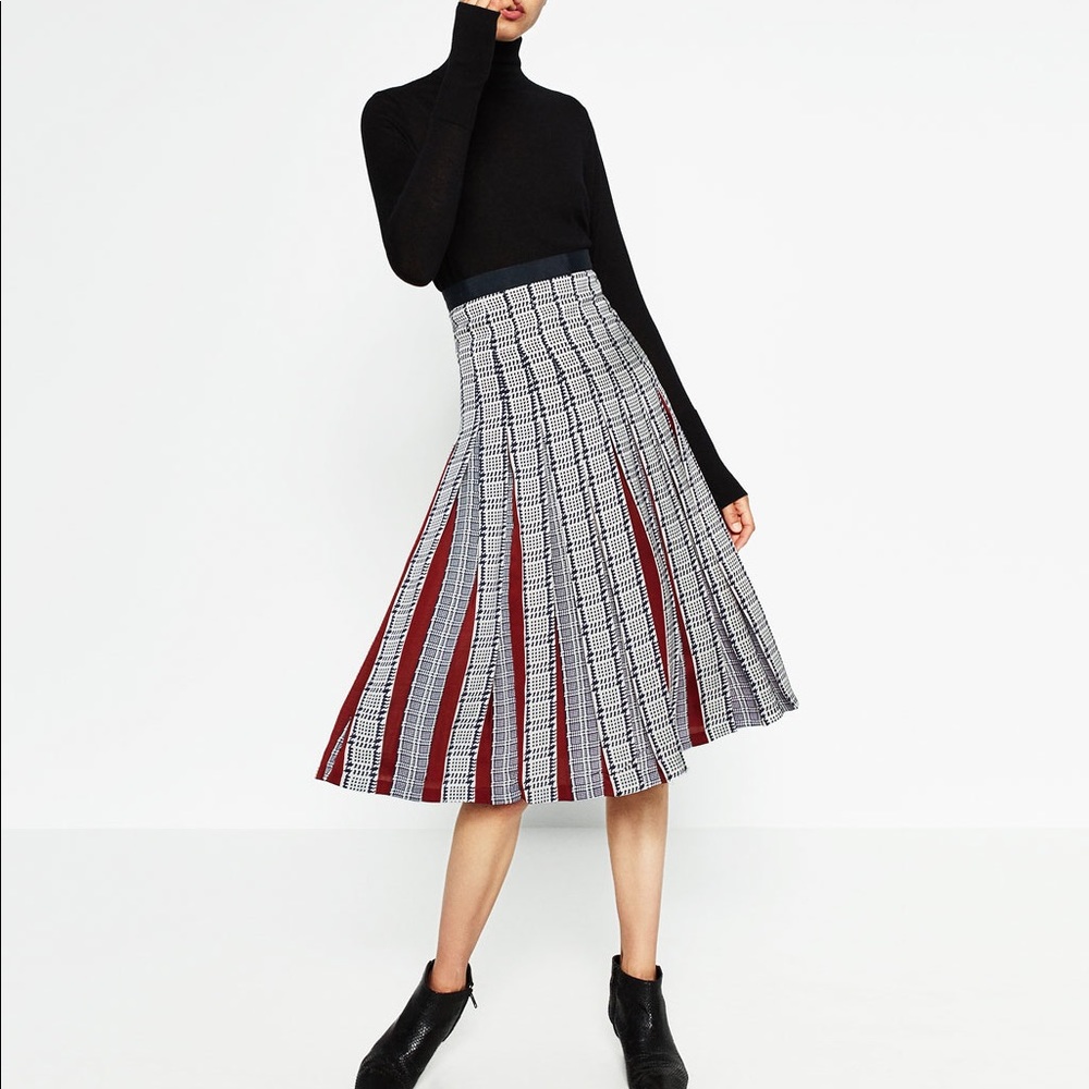 NWT Zara Printed Accordion Pleated Skirt - Picture 2 of 5